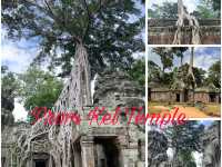 Temple Run 🇰🇭