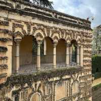 A Culinary Oasis at Cenador de León: Where Art Meets Gastronomy