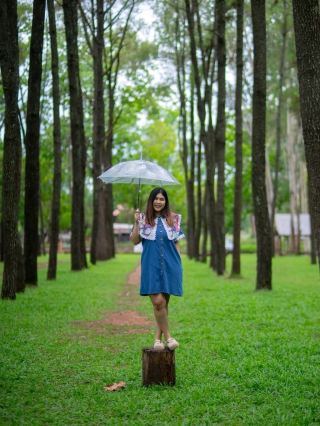 Mae Taeng Pine Forest in Chiang Mai Province