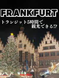 【フランクフルト🇩🇪トランジット5時間で観光できる？】