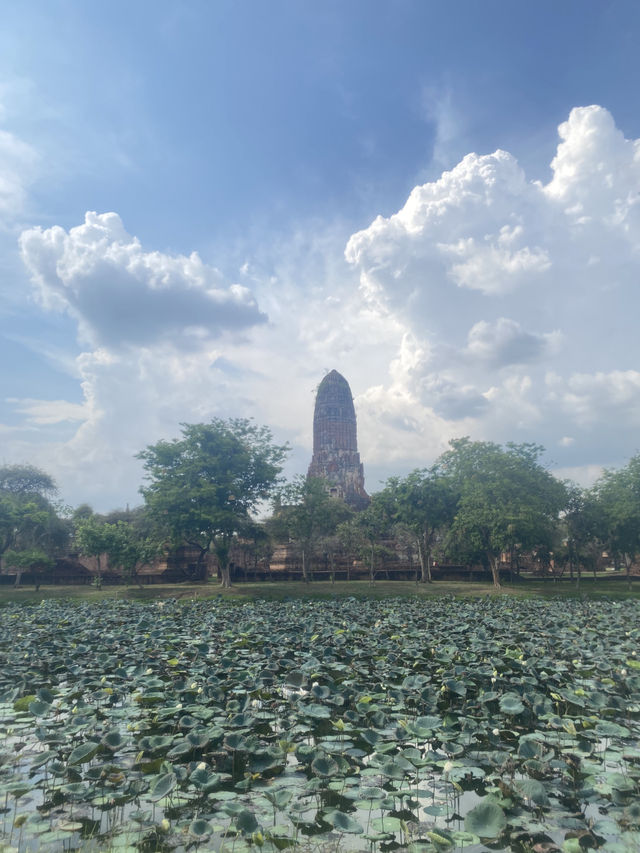 Wat Mahathat, Ayutthaya: A Memorable Day