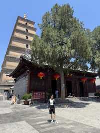 Big wild goose pagoda | เจดีย์ห่านป่าใหญ่
