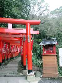 【鎌倉　佐助稲荷神社から源氏山へのライトトレッキング】
