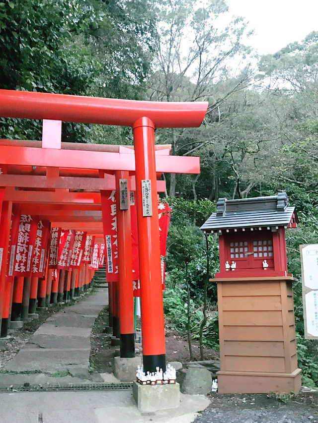 【鎌倉　佐助稲荷神社から源氏山へのライトトレッキング】