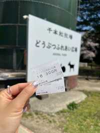 日本親子遊🇯🇵東京近郊，放羊體驗，千本松牧場🐴🐰🐄🐃🐑