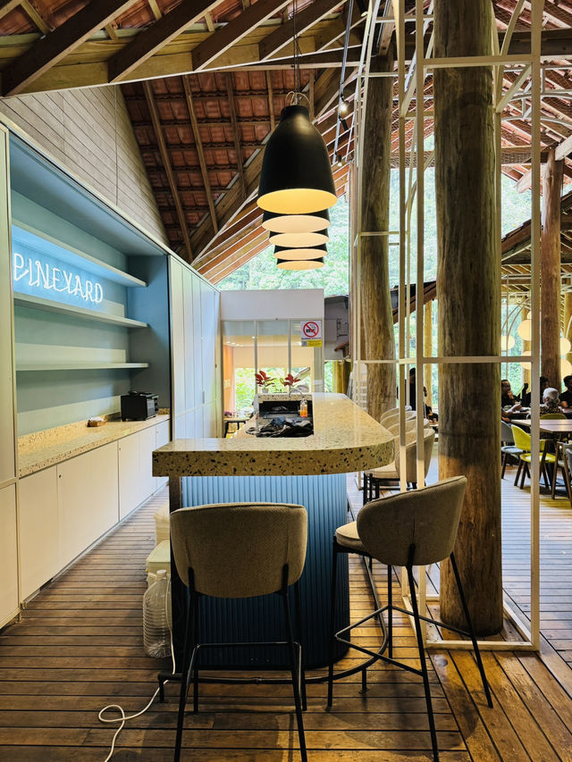 Aesthetic Café Worth Turning Off Waze For