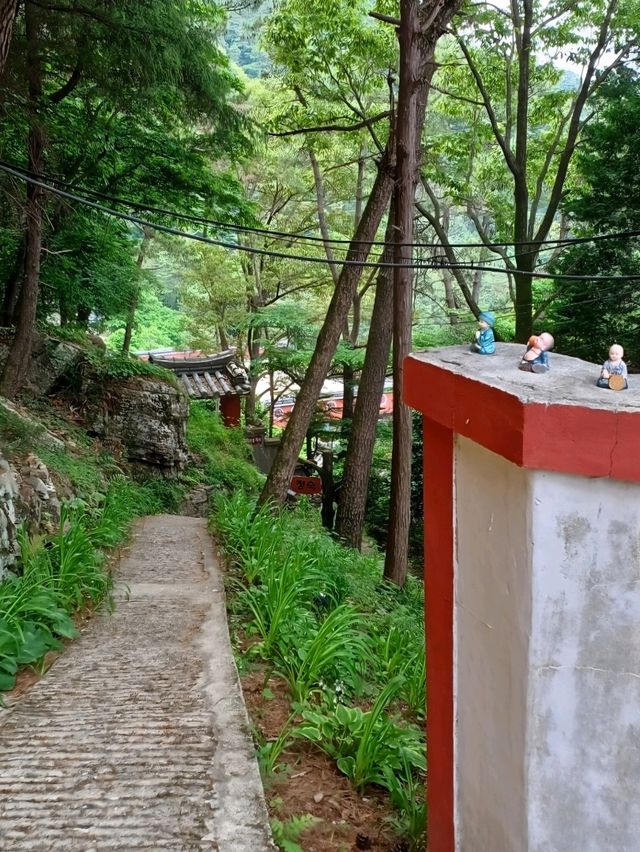 바람과 햇살, 나무가 함께 어우러진 보현암