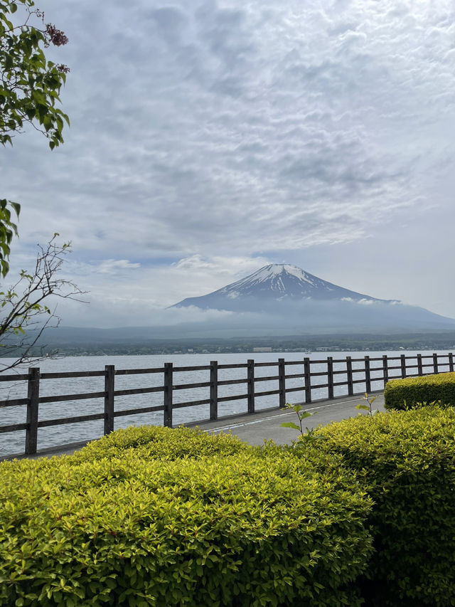 Kawaguchiko | Lake Yamanaka 🦢✨
