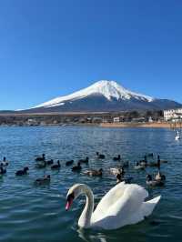 When Fuji Meets Frost: A Winter Tale at Kawaguchi Lake