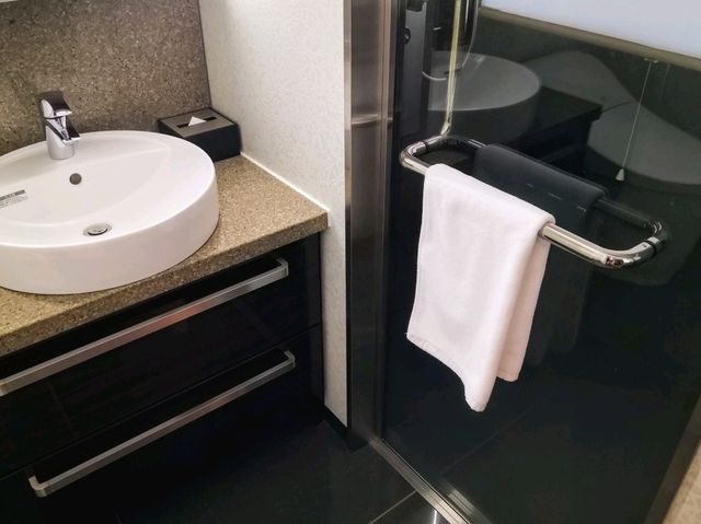 奈良 | Plazza Hotel 奈良JR車站前店便捷酒店