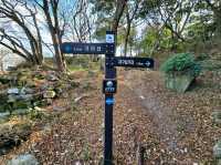 Forest Trails & Sea Breeze Feels on Geoje