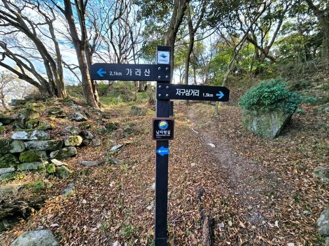 Forest Trails & Sea Breeze Feels on Geoje