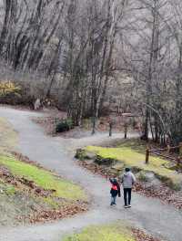 Stepping Back in Time: The Charm of Arrowtown Chinese Settlement