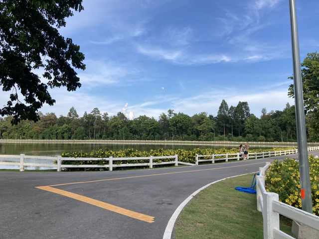 นั่งชมธรรมชาติสีเขียวที่สวนสาธารณะ “หนองเขียว“