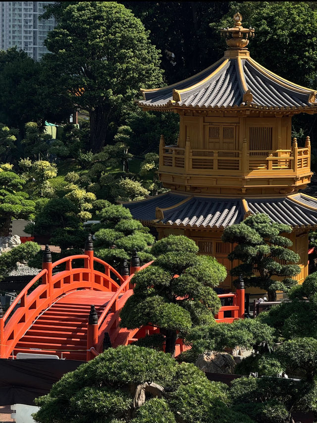 Nan Lian Garden (南蓮園池), Hong Kong
