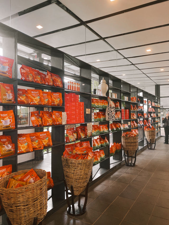 Sip, Shop & Savor: The BOH Tea Boutique Experience
