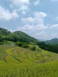 🌾日本の原風景に癒される「大山千枚田」で心洗われる旅を