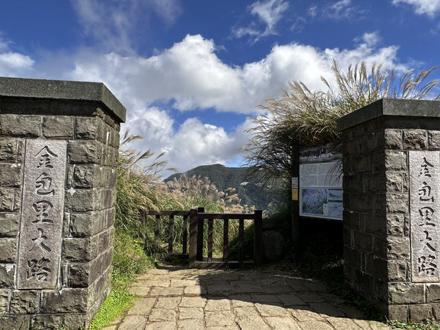 秋芒。金包里大道（魚路古道）