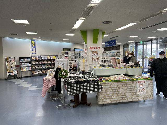 ⚓ Unexpected Coastal Gem: Roadside Station Akitakō
