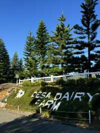 ✨ 2D1N Self-Drive Escape to Kota Kinabalu & Kundasang 🚗🌿