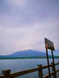 ทะเลสาบยามานากะ (Yamanaka Lake / 山中湖) 