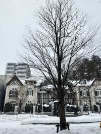 走進北國神域！北海道神宮四季皆美，冬雪中的參拜體驗絕對神聖又浪漫⛩️❄️🌸 
