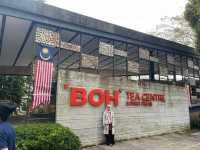 🌿 Highlands Escape at BOH Tea Plantation, Cameron Highlands