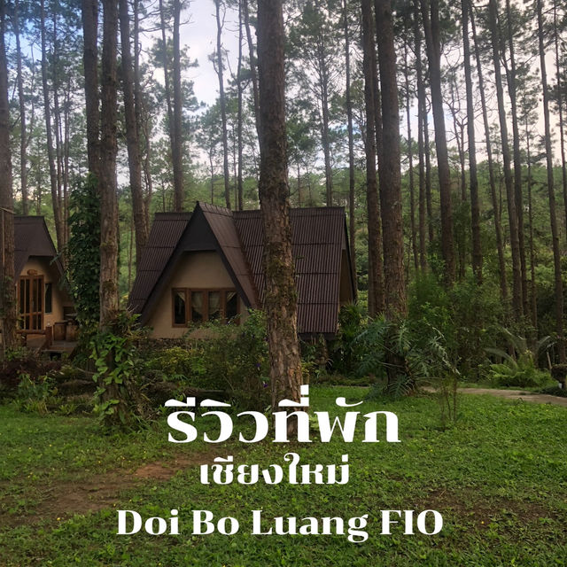 🌲Doi Bo Luang FIO – ที่พักกลางสวนป่าสน ในเชียงใหม่