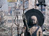 Magic, Blossoms & Organized Chaos — Tokyo’s Unforgettable Energy