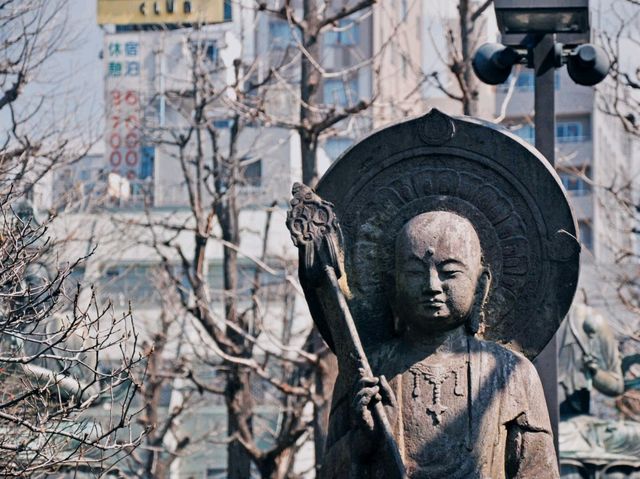 Magic, Blossoms & Organized Chaos — Tokyo’s Unforgettable Energy