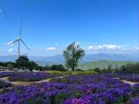 Wind, Hills, and Major Vibes at Gamaksan Wind Farm