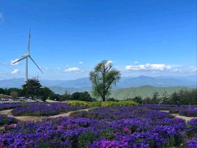 Wind, Hills, and Major Vibes at Gamaksan Wind Farm