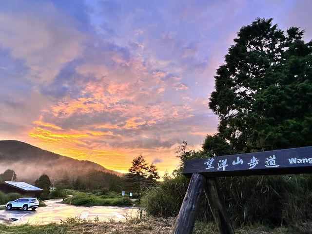 翠峰湖。臺灣山毛櫸步道