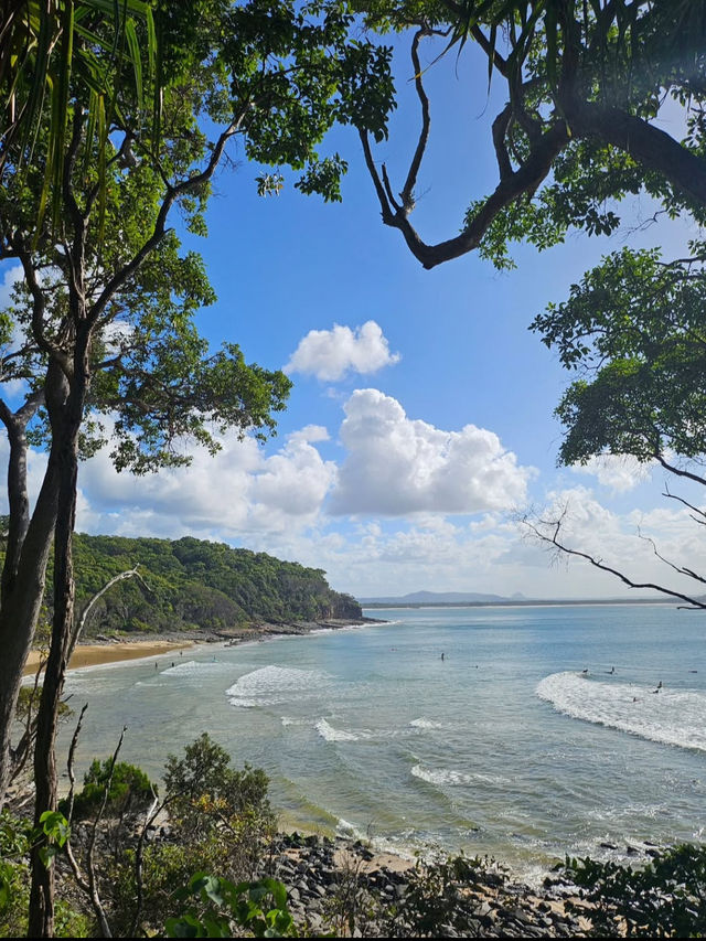 🌊【ヌーサ・ヘッズ（Noosa Heads）】海と森、冒険と癒しのビーチリゾート