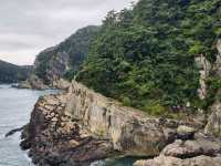 Amnam Park, Busan: A Natural Escape with Coastal Trails and Dinosaur History