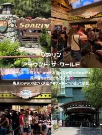 カリフォルニアディズニー【アドベンチャーパーク】🎡✨