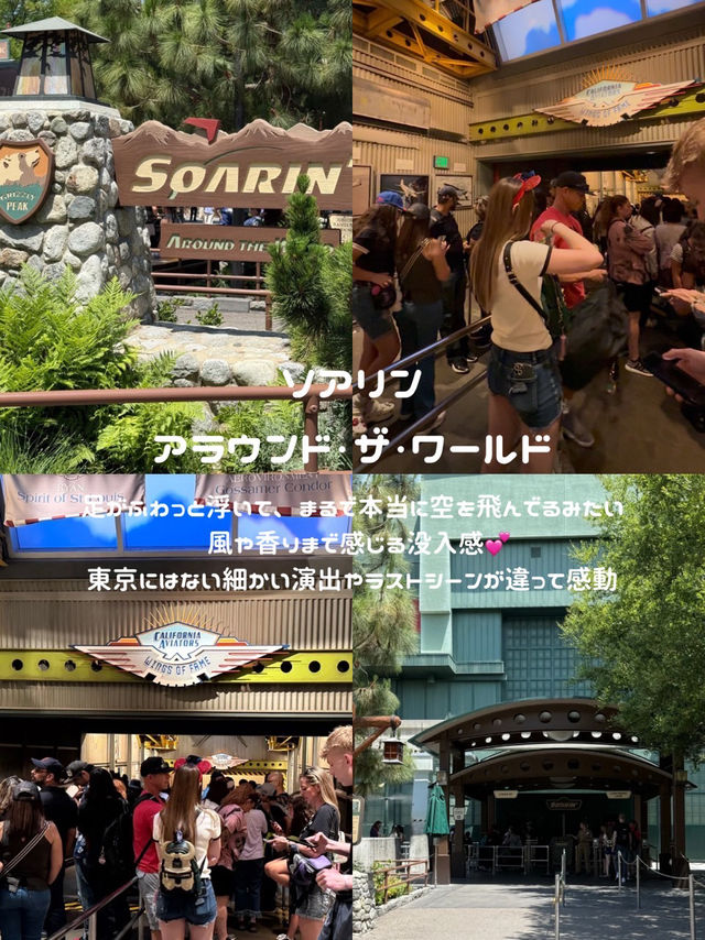 カリフォルニアディズニー【アドベンチャーパーク】🎡✨