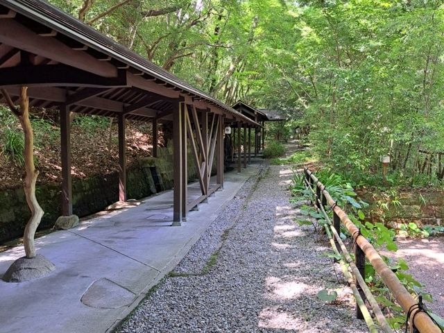 鹿児島ひとり旅～温泉旅館のランチと絶景に癒される💗～