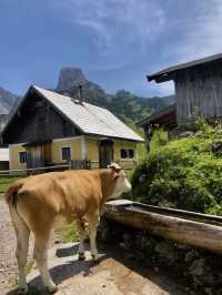 🇦🇹 奧地利隱秘仙境戈紹，避開人潮的治癒系天堂