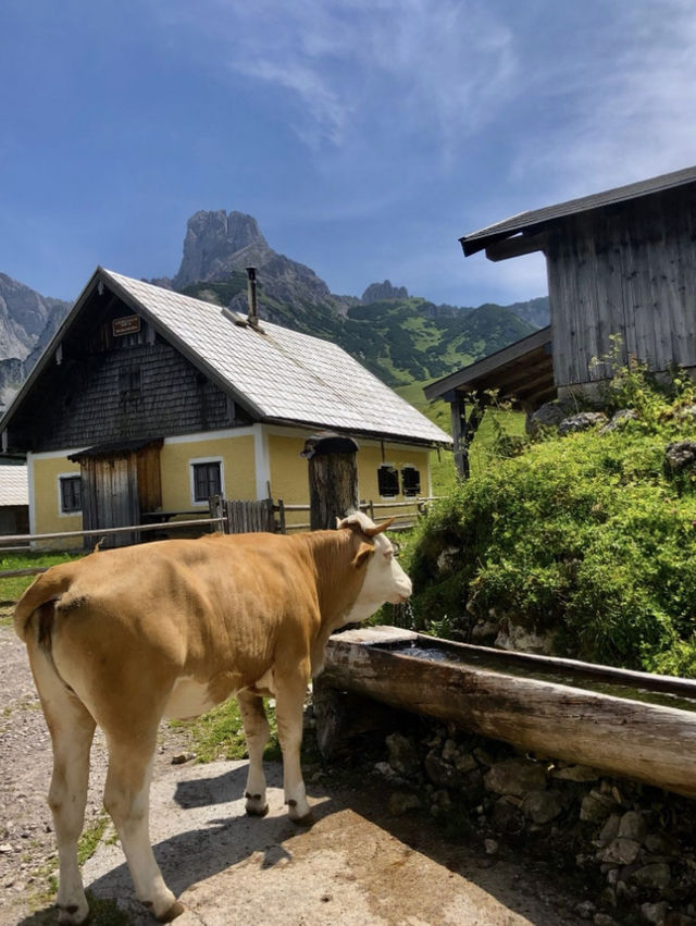 🇦🇹 奧地利隱秘仙境戈紹，避開人潮的治癒系天堂