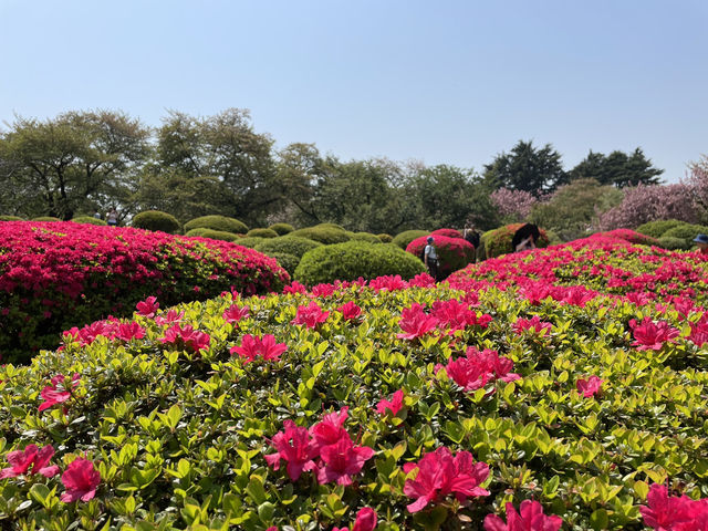 東京復活節行程