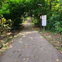 Mount Faber Park (Free hike + scenic views)