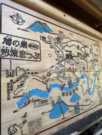 夏にぴったり🌊「鳩ノ巣渓谷」で川遊びを満喫しよう✨