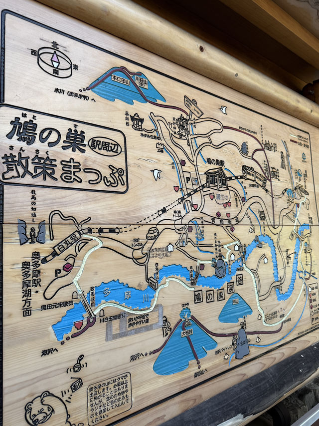 夏にぴったり🌊「鳩ノ巣渓谷」で川遊びを満喫しよう✨