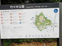 A Floral Escape at Yoyogi Park