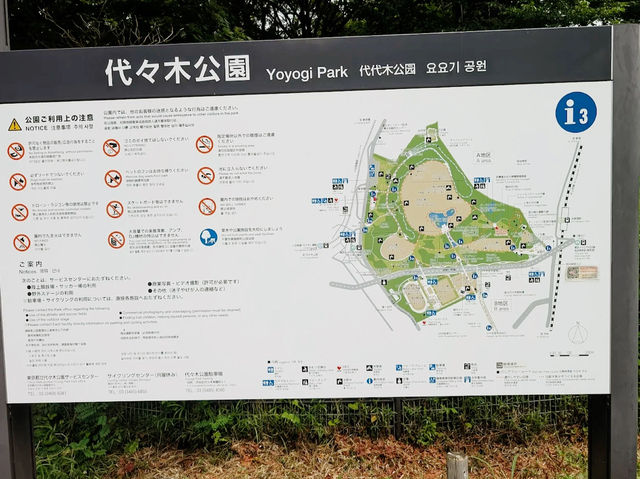 A Floral Escape at Yoyogi Park