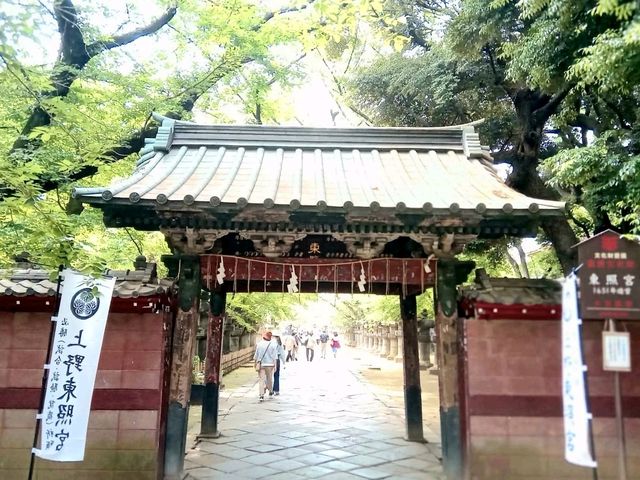 ชมสวน Ueno เที่ยวตลาด Ameyoko