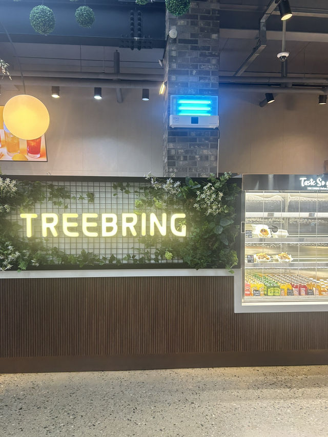 청주 여행 추천 🌳 자연 속 힐링 공간, 카페 트리브링