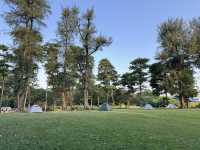 🌳 Family Fun at West Coast Park