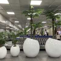 Island Vibes Already Begin at Jeju International Airport